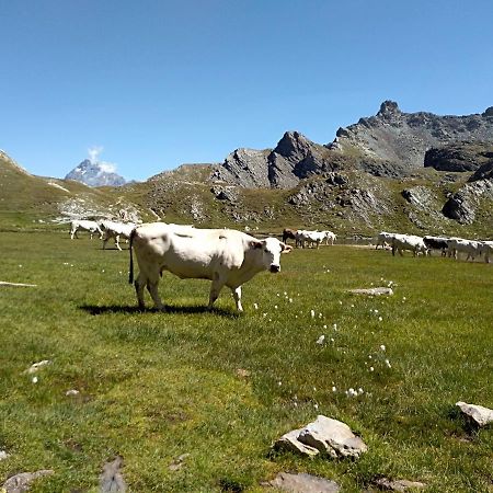 Agriturismo Ciambun سامبير المظهر الخارجي الصورة