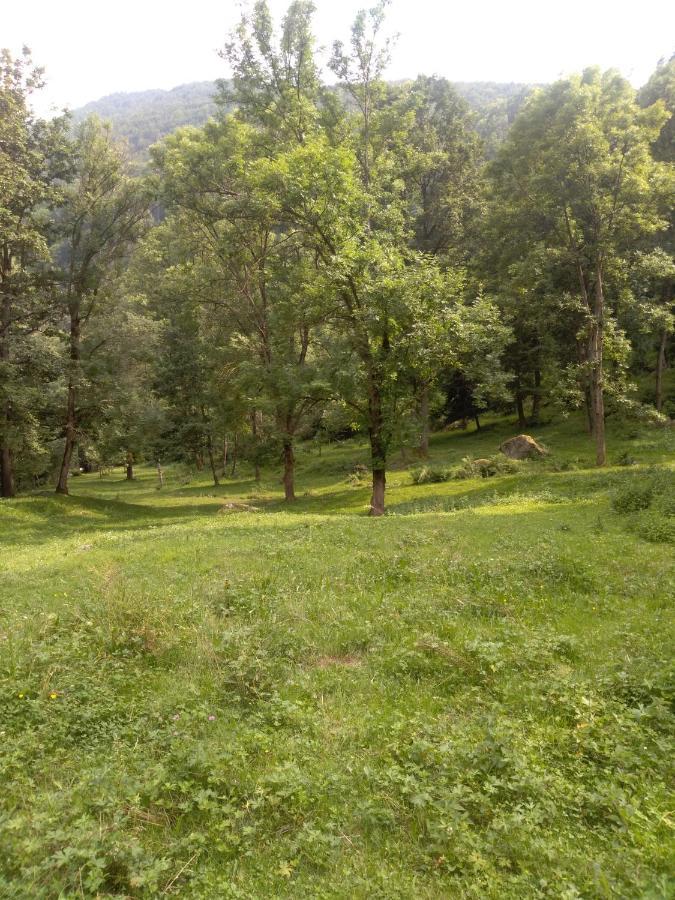 Agriturismo Ciambun سامبير المظهر الخارجي الصورة