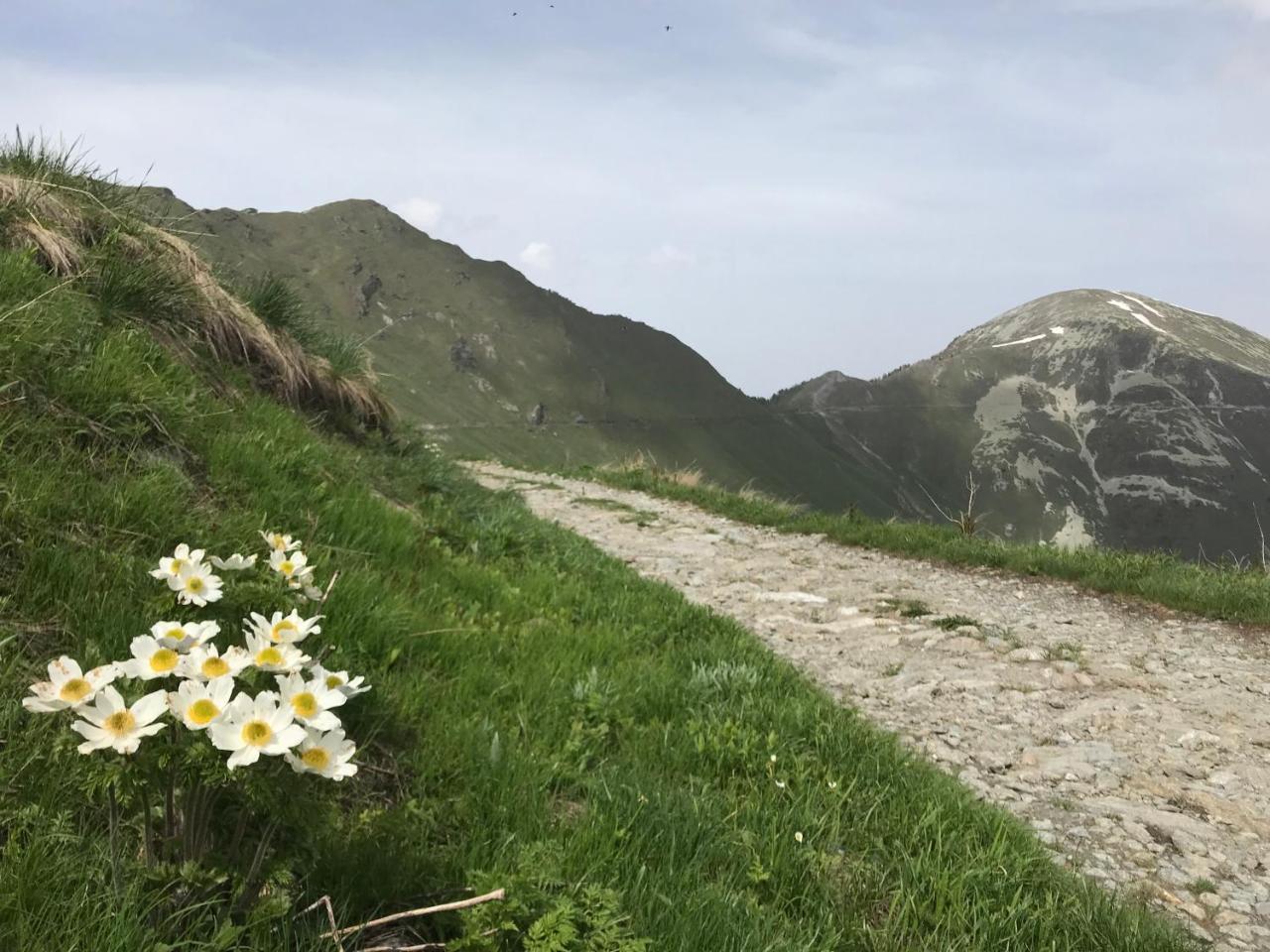 Agriturismo Ciambun سامبير المظهر الخارجي الصورة